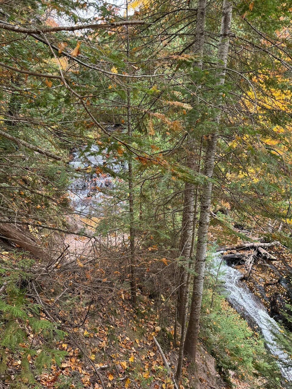Au Sable Dunes