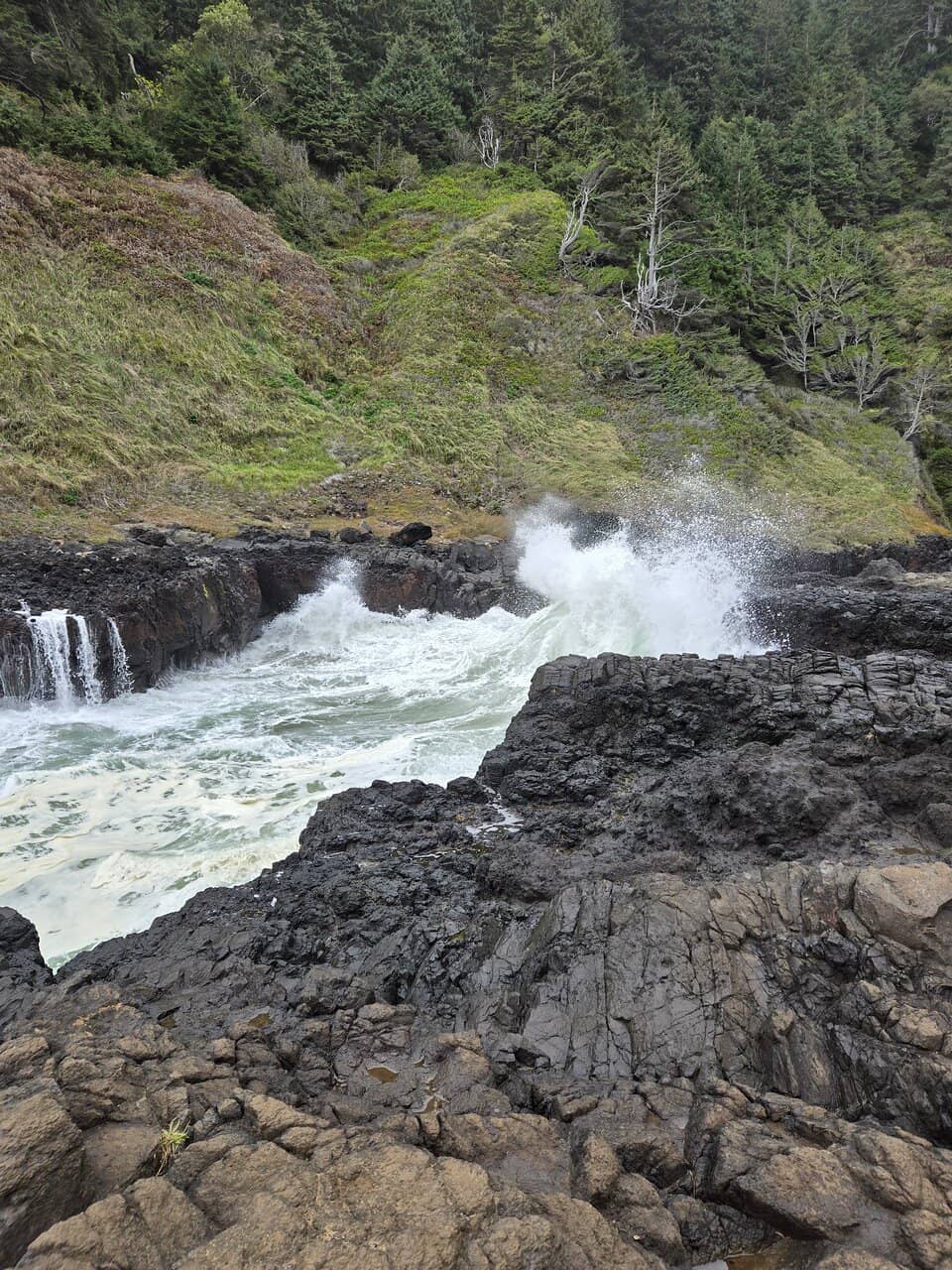 Tidal Pools