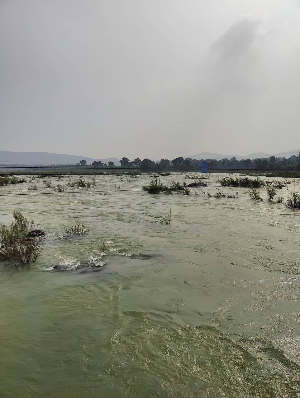 Exhilarating Boating