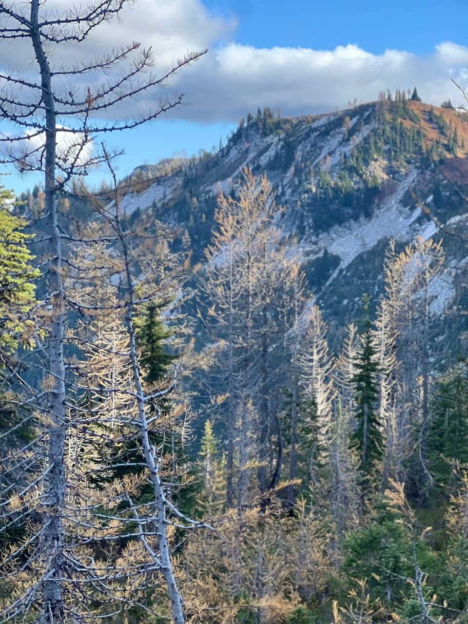 Panoramic Mountain Vistas