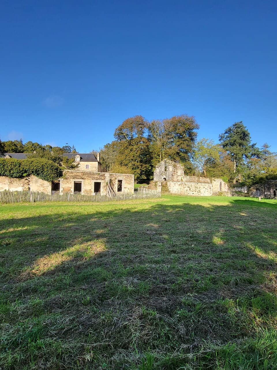 Forest Walking Trails