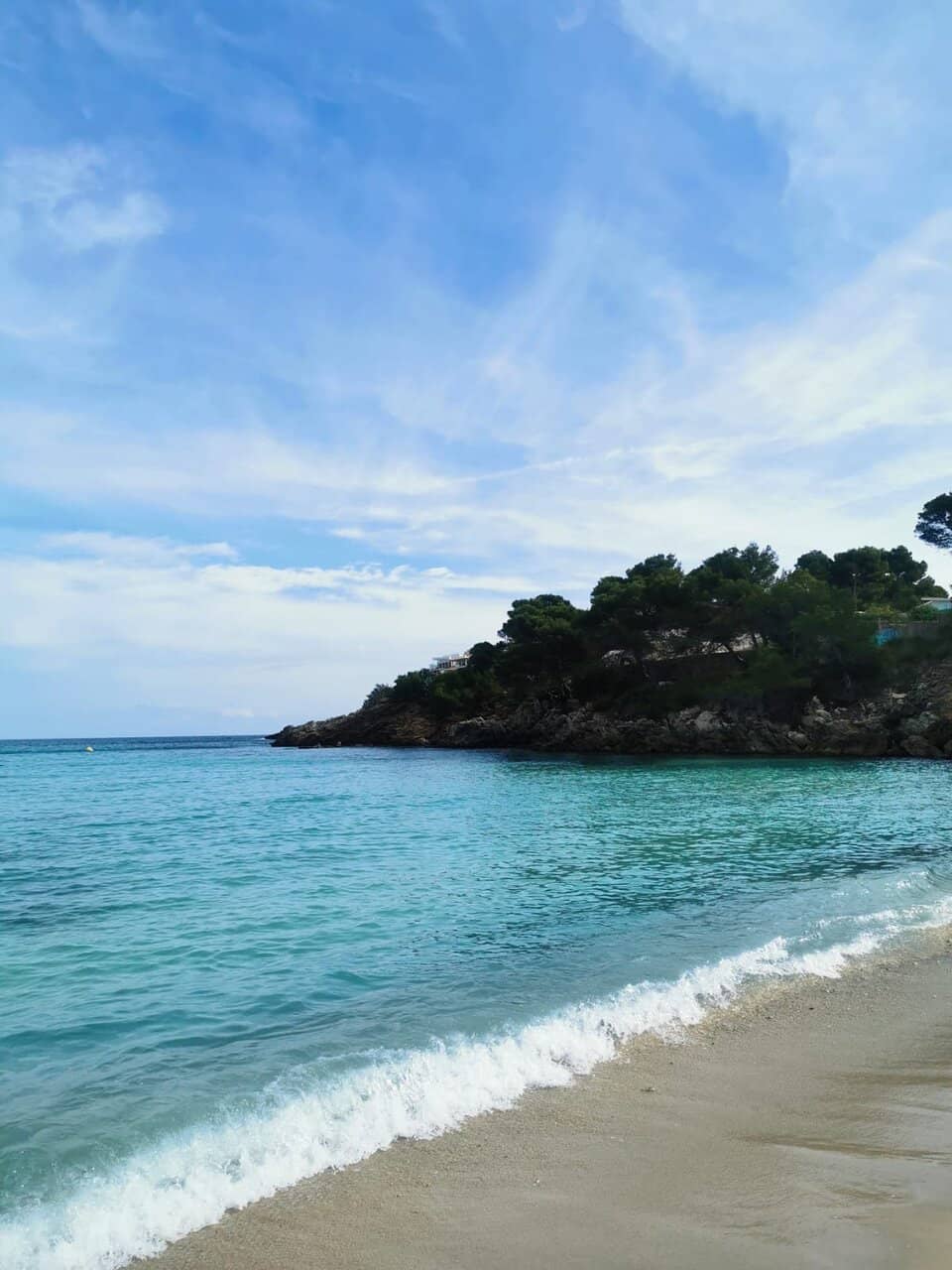 Snorkeling Adventures