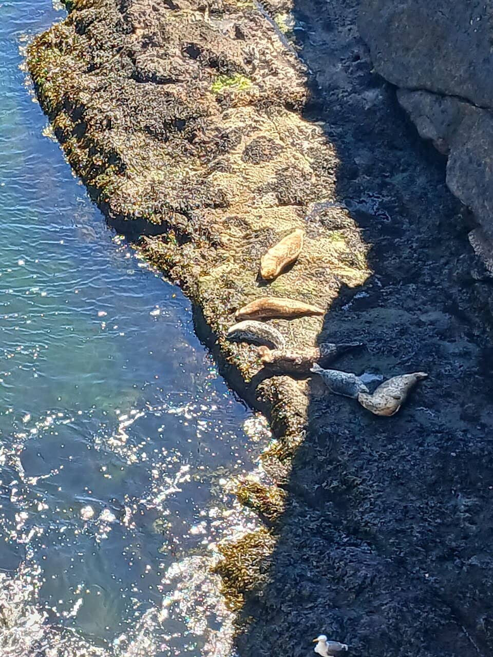 Vertical photo