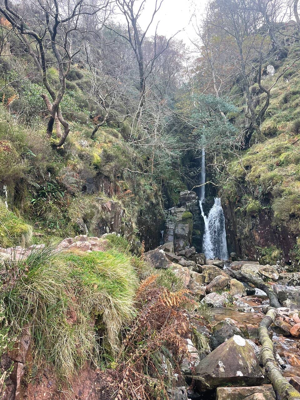 The Gorge Walk
