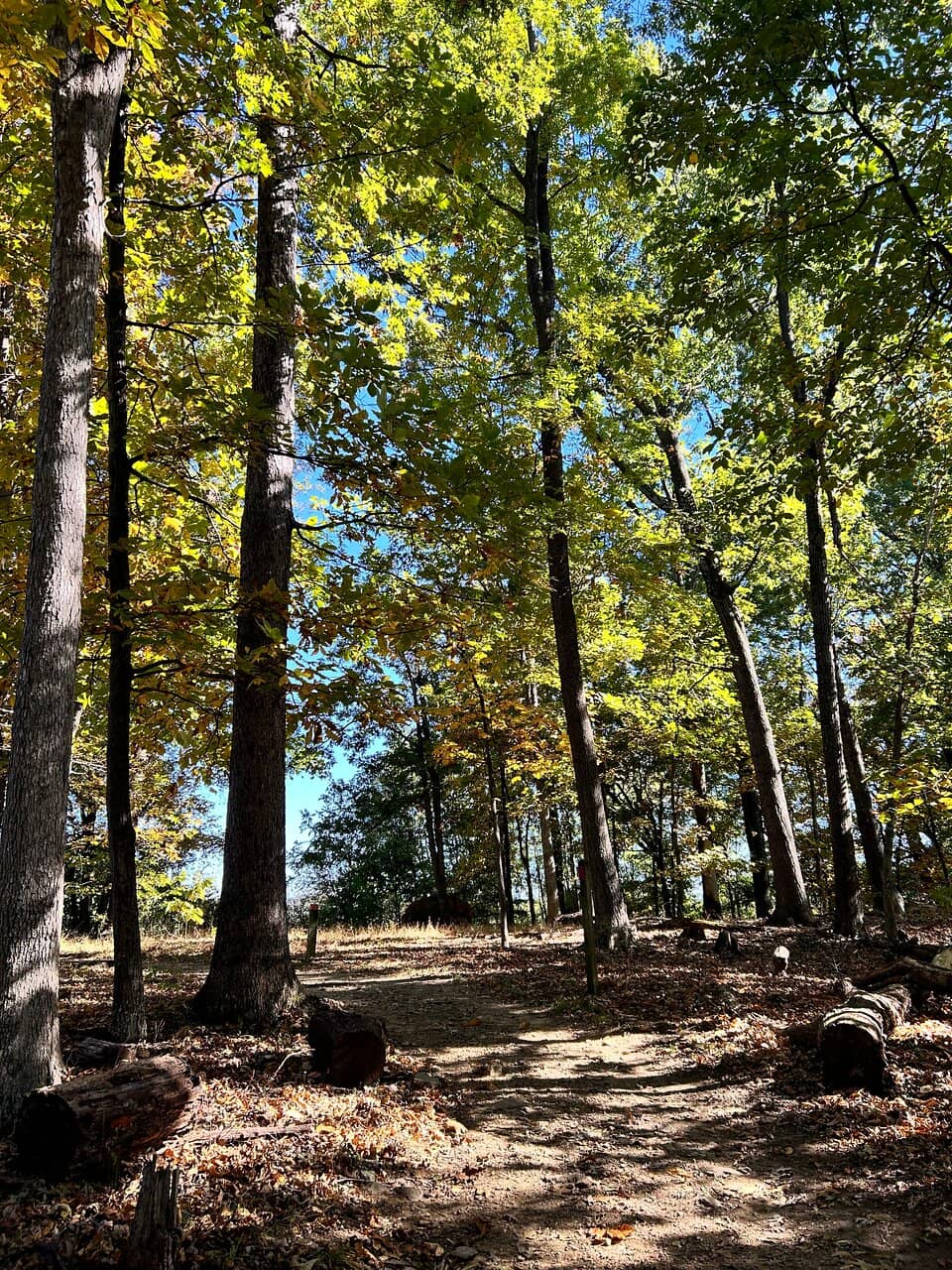 Appalachian Trail Access