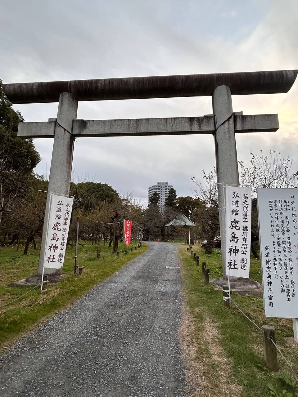 Vertical photo
