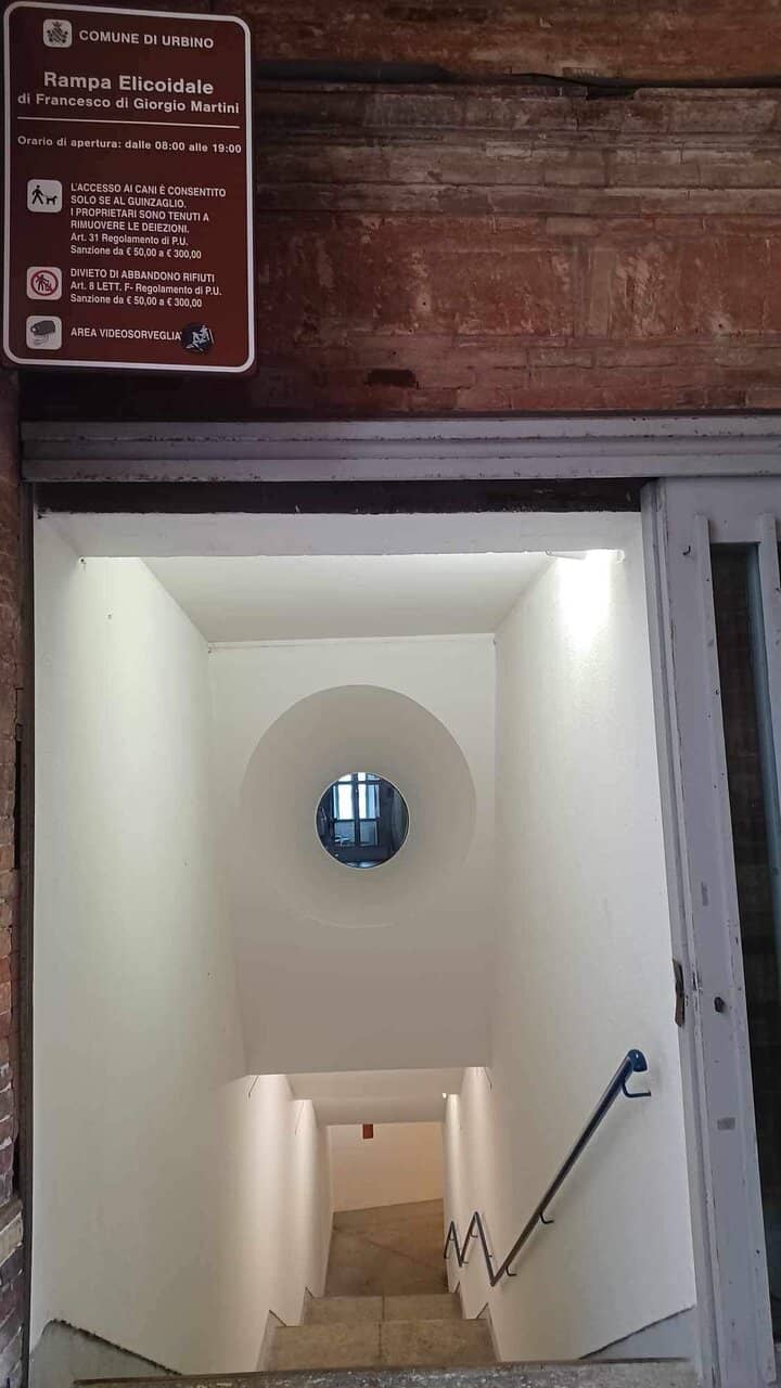 Panoramic City Views