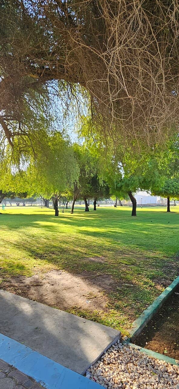 Children's Play Area