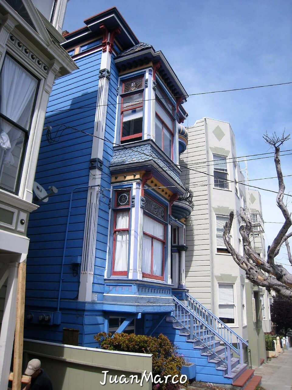 Vertical photo