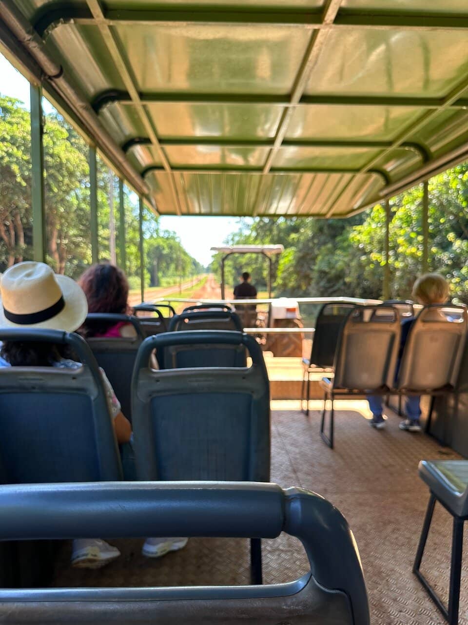 Scenic Lookout Tower