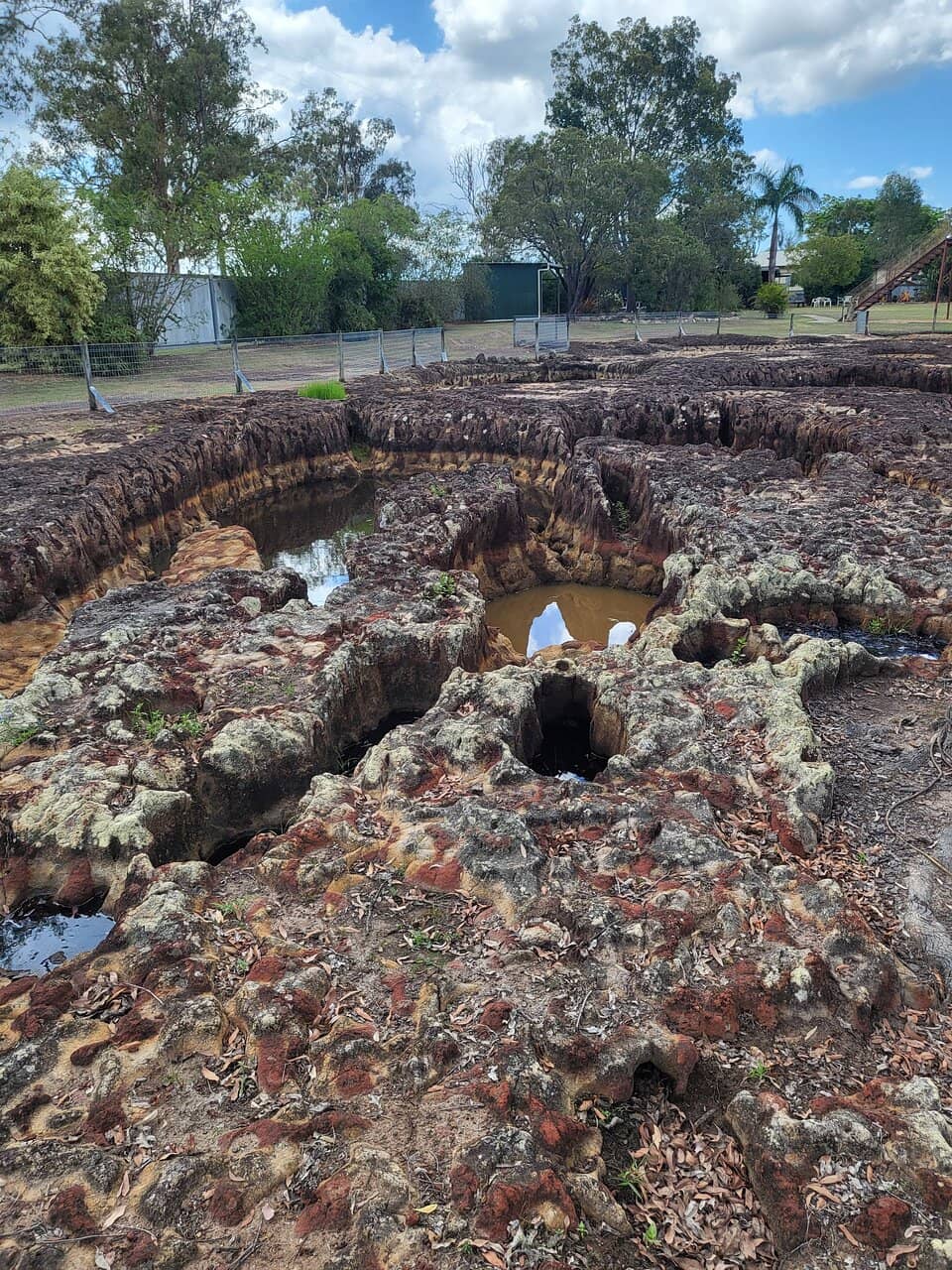Themed Cafe Delights