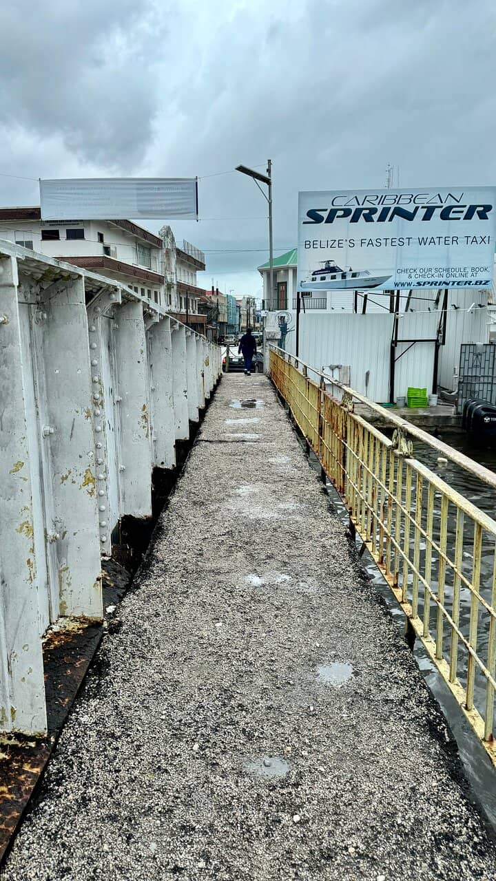 Nature and Wildlife Spotting