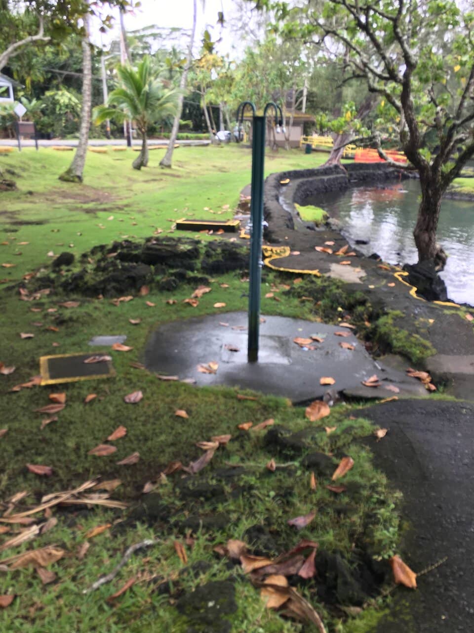 Sea Turtle Encounters