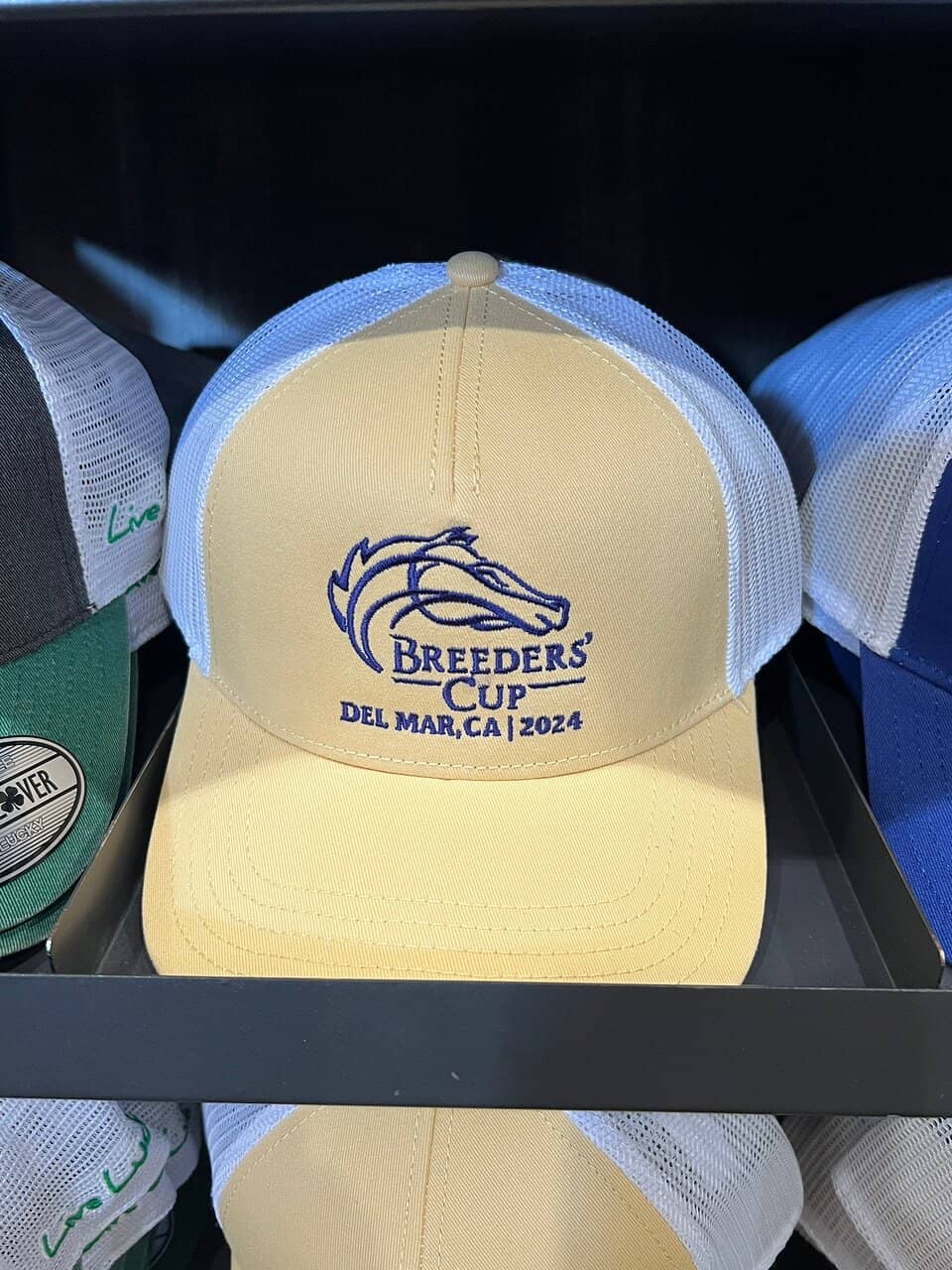 Ariondaz Gondola Ascent