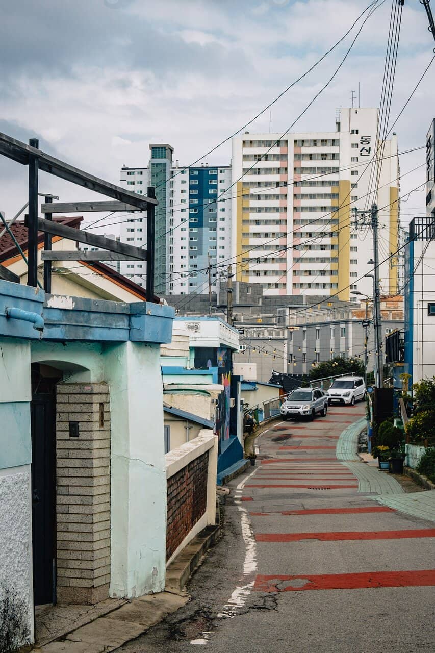 Penguin-Shaped Donuts