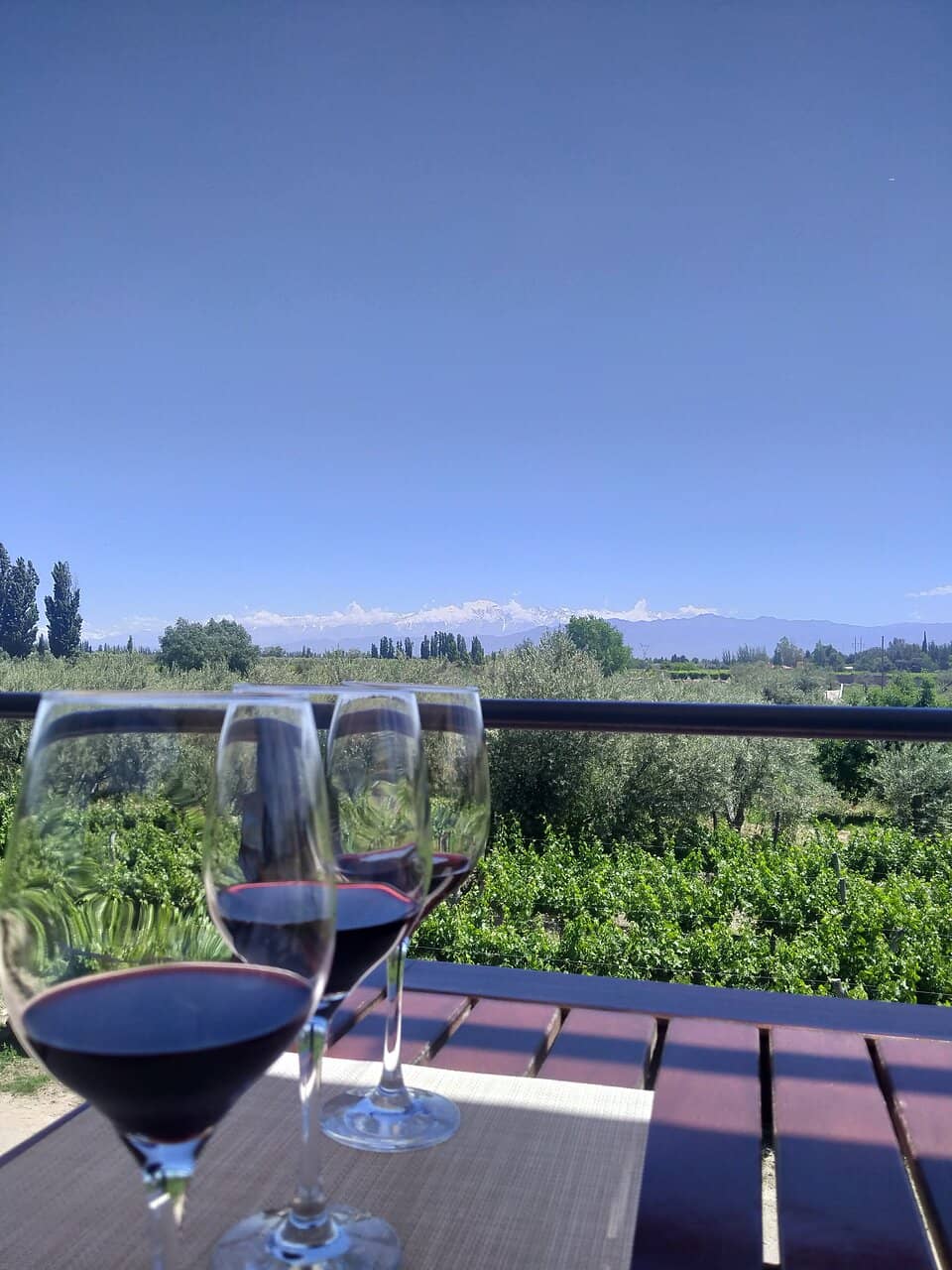 Vineyard and Mountain Views