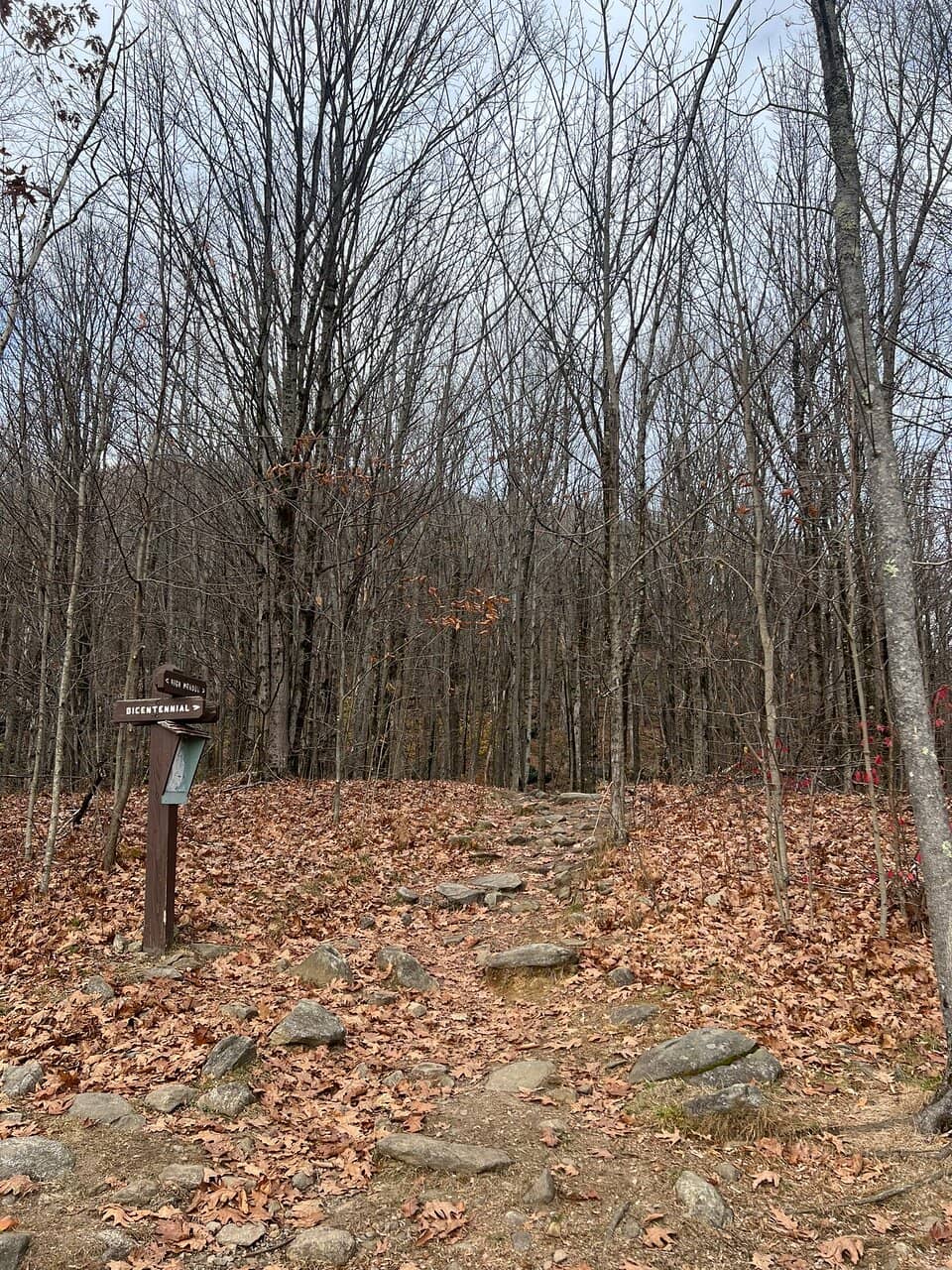 Old Indian Trail