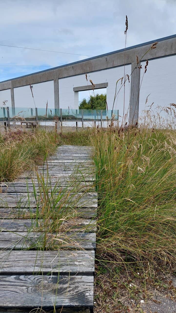 Local Flora and Fauna Exhibits