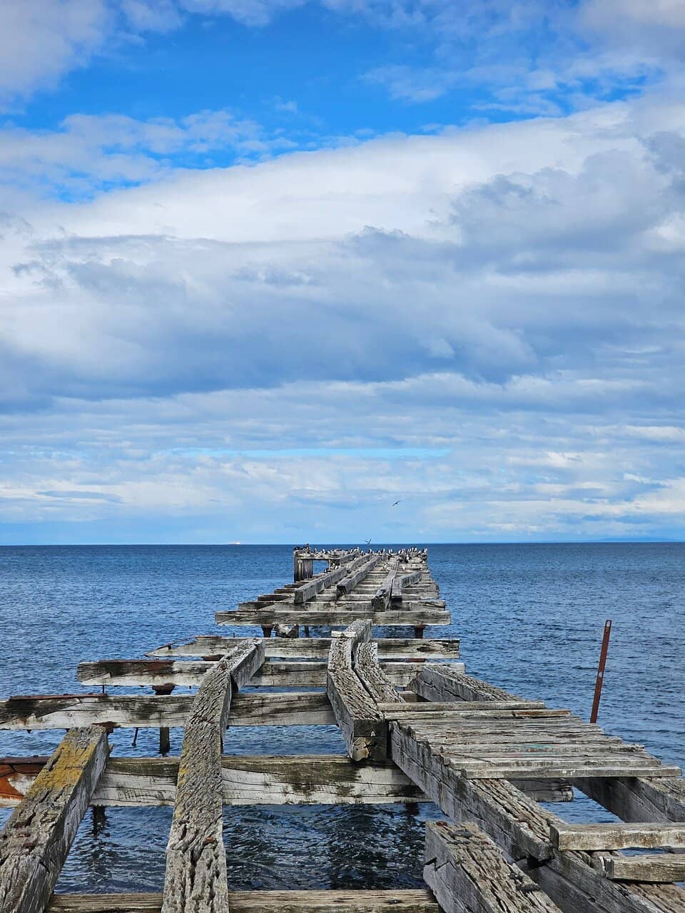 Ocean Views & Wildlife