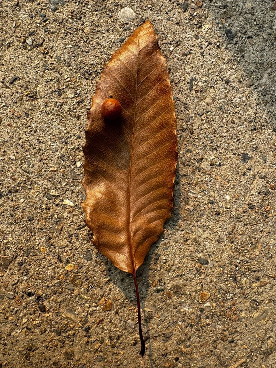 Vertical photo