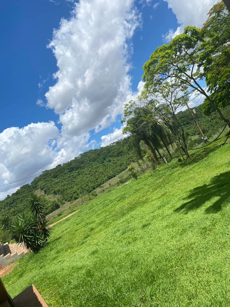 Scenic Hiking Trails