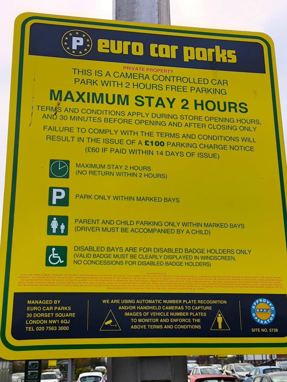 Outdoor Market Finds