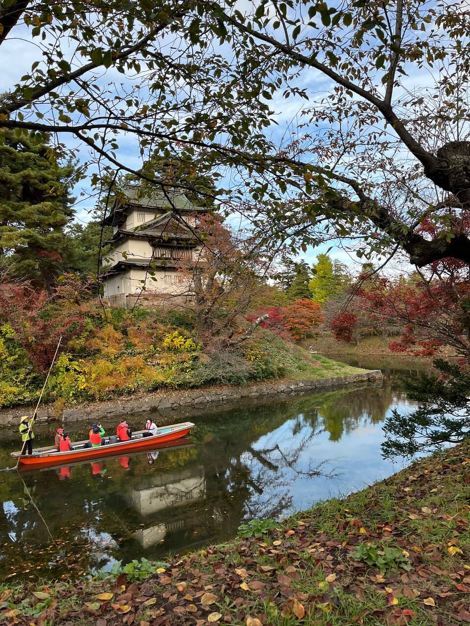 Cherry Blossom Spectacle