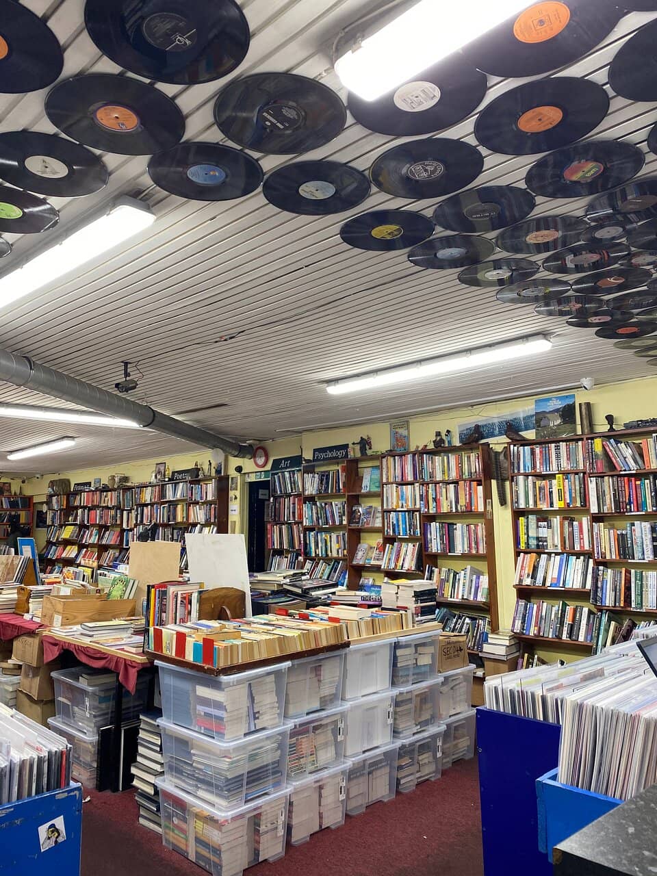 Vinyl & CD Collection