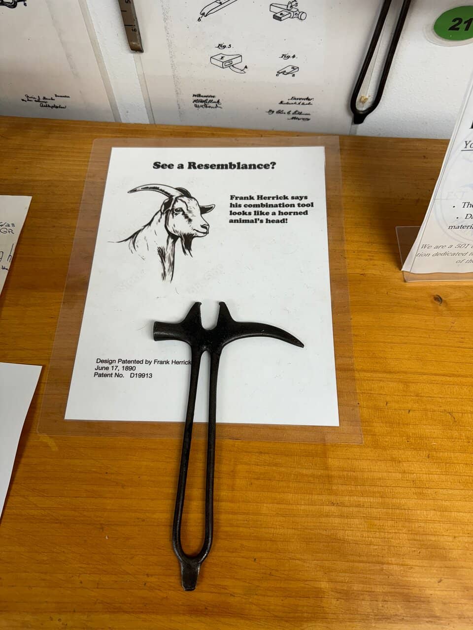 Film Screenings & Events