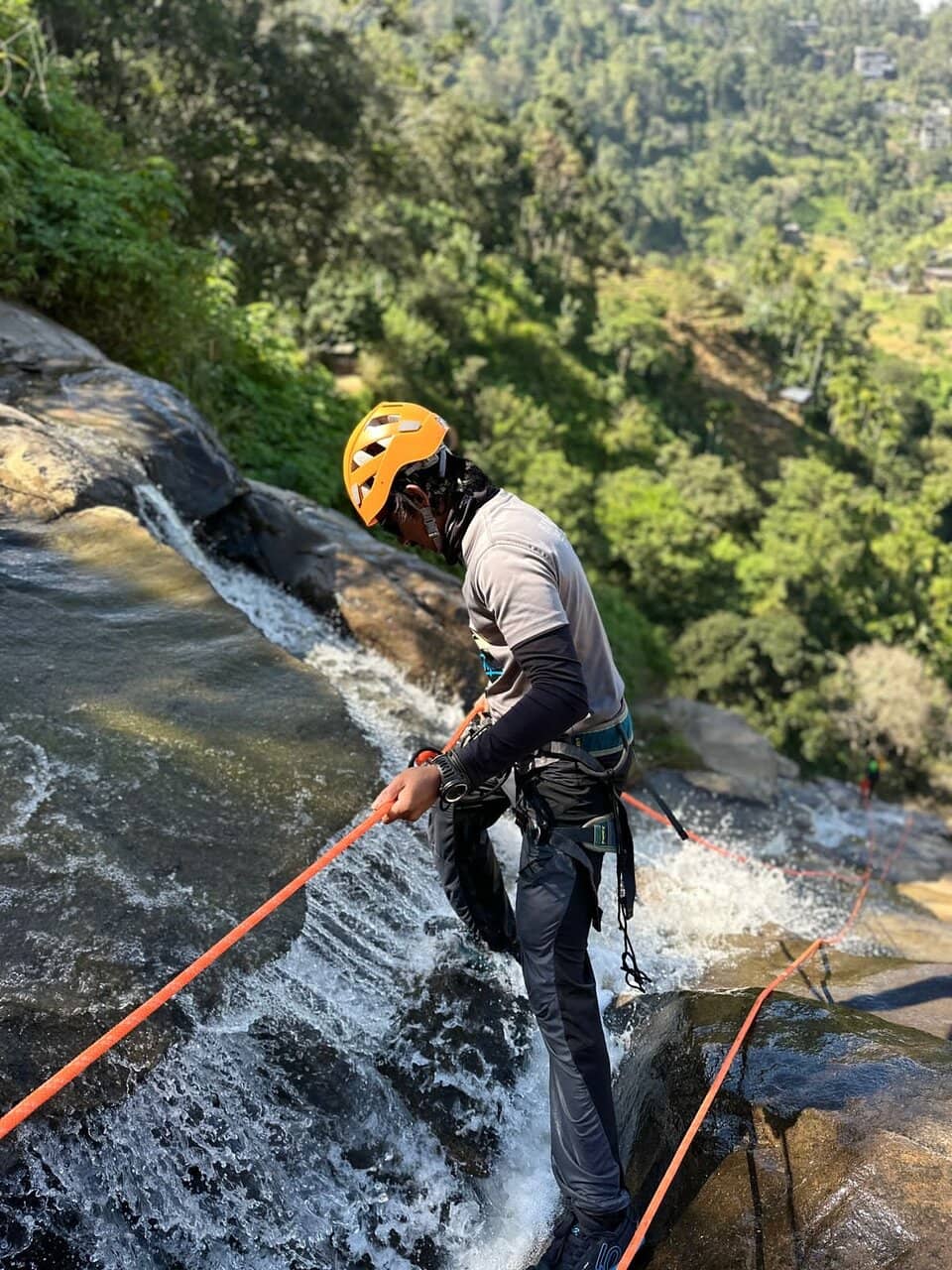 Vertical photo