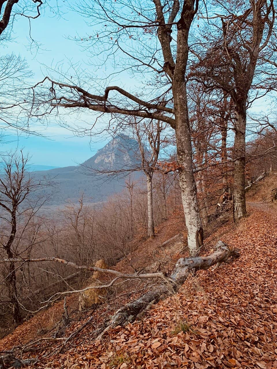 Observation Deck