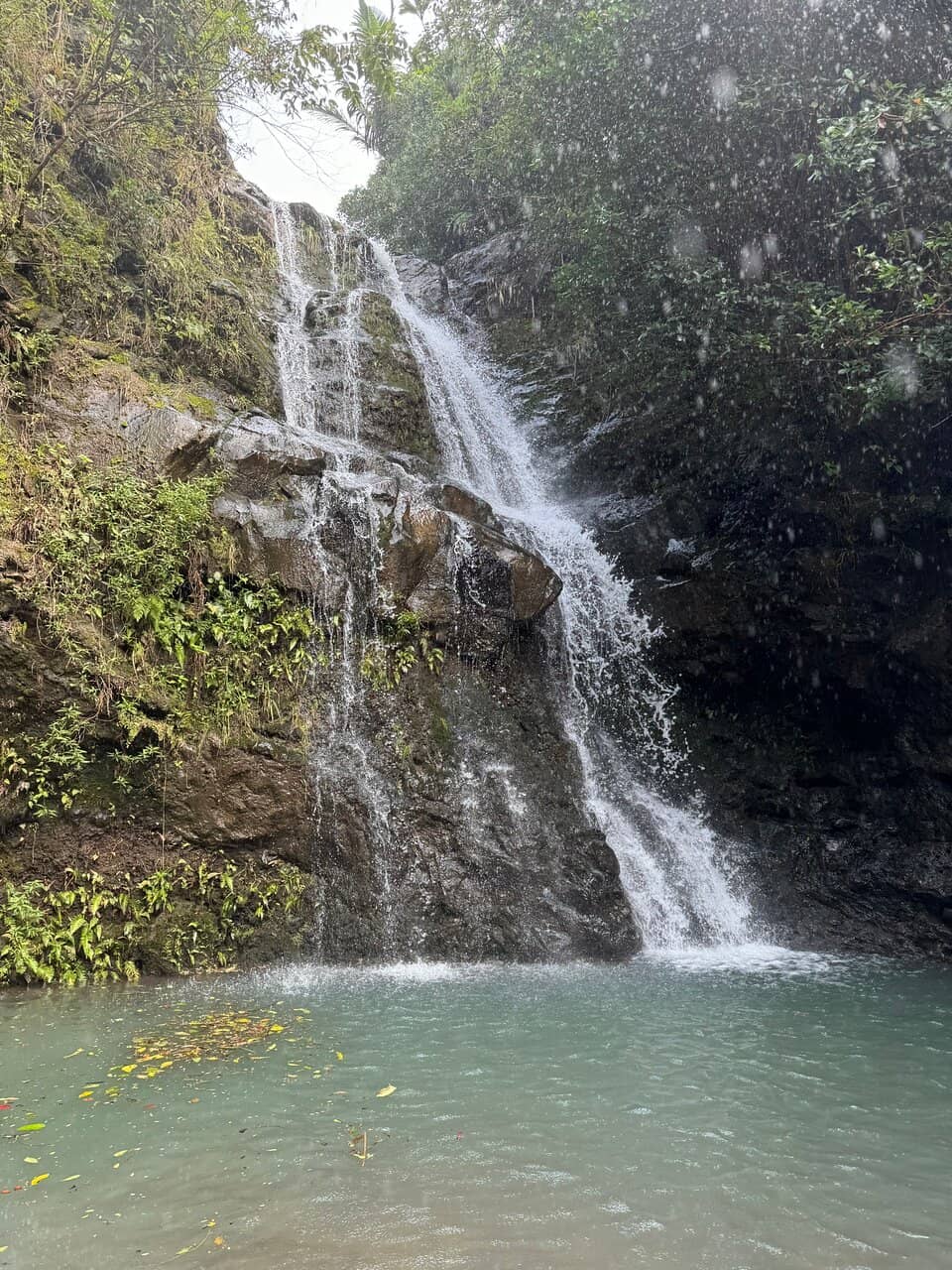 Challenging Forest Trail