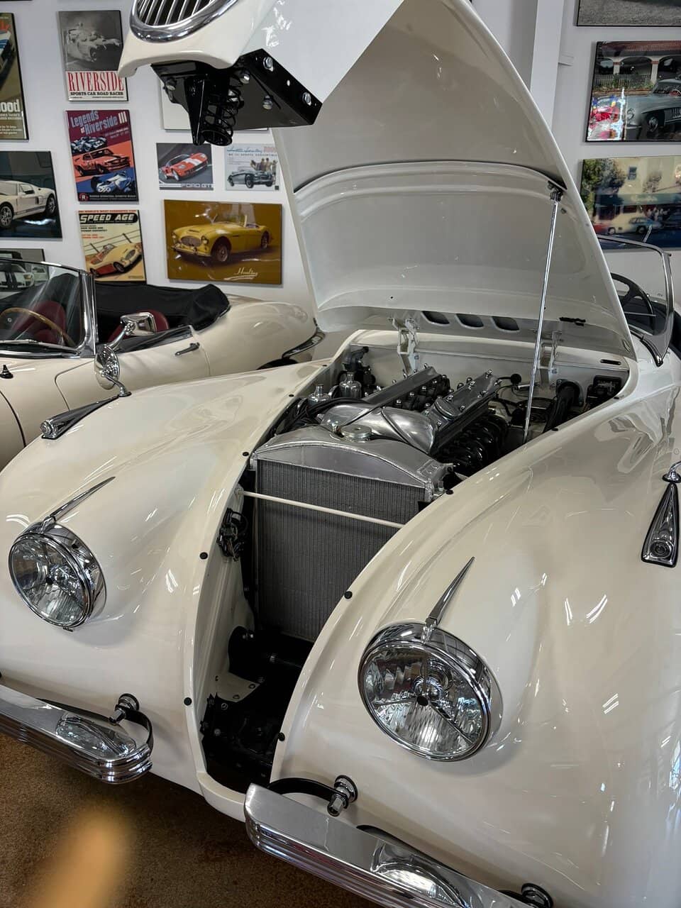 Flight Simulator Experience