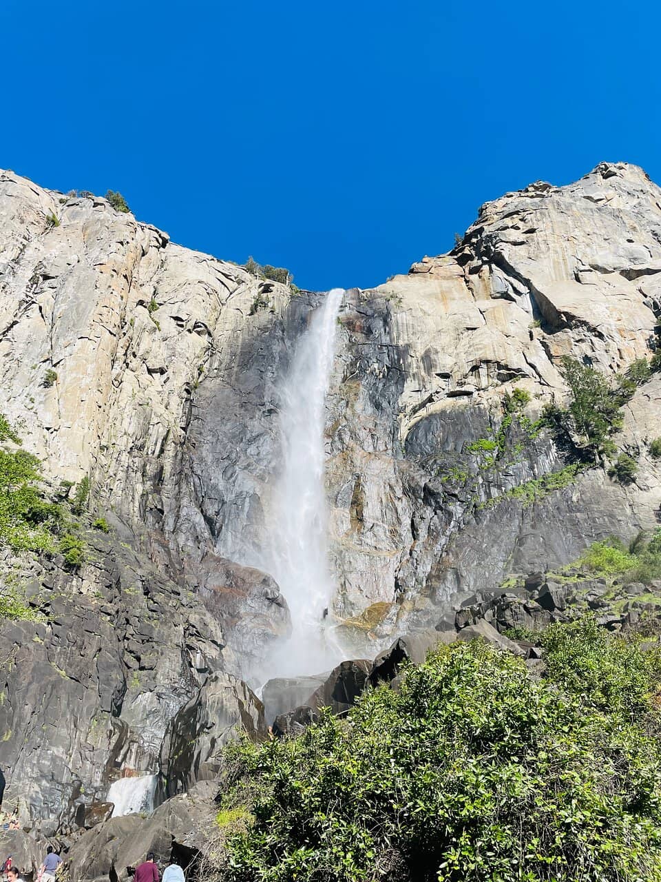 The Iconic Plunge