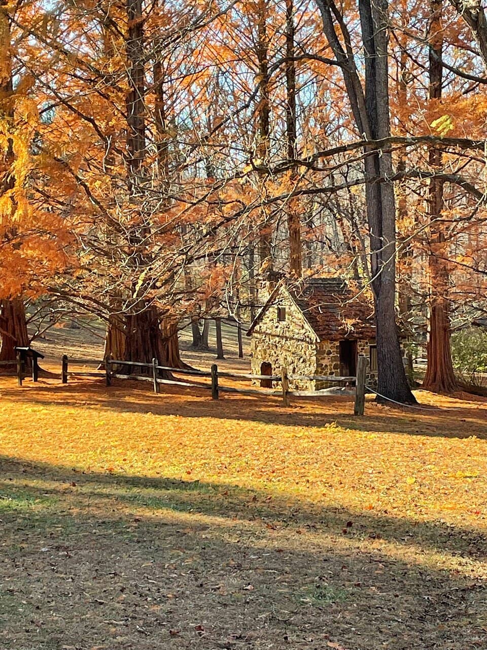 Historic Newlin Family Home