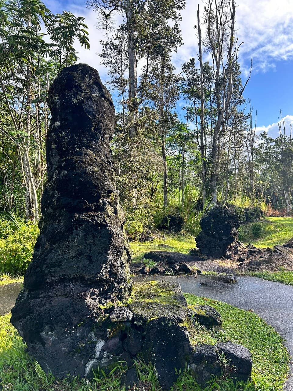 Fascinating Lava Tree Molds