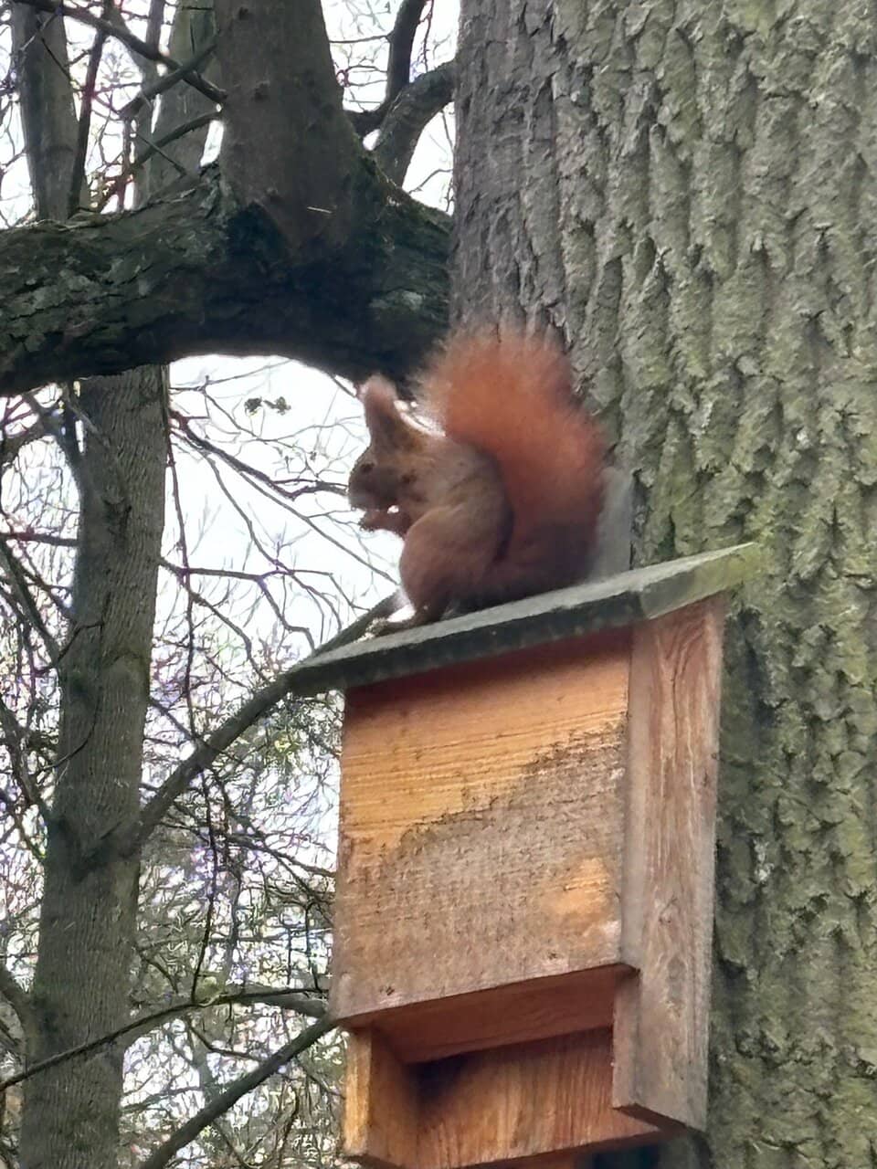 Imaginative Playground