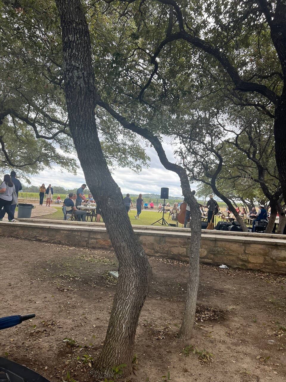 Exceptional Wine Selection