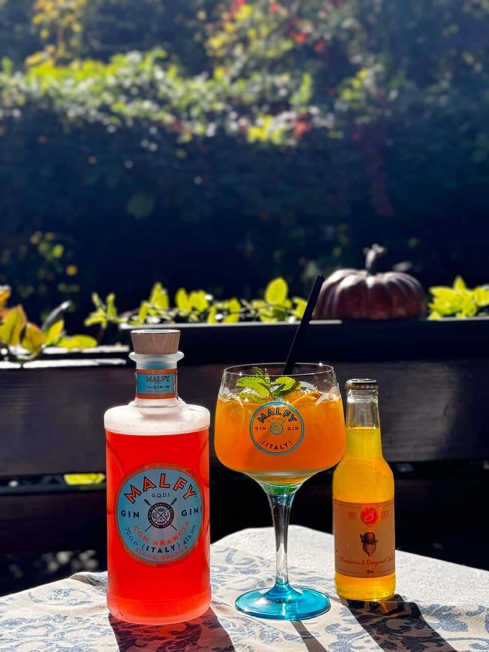 Geocaching Adventures