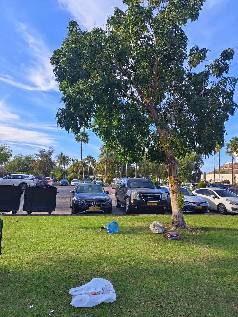 Sea & Mountain Vistas