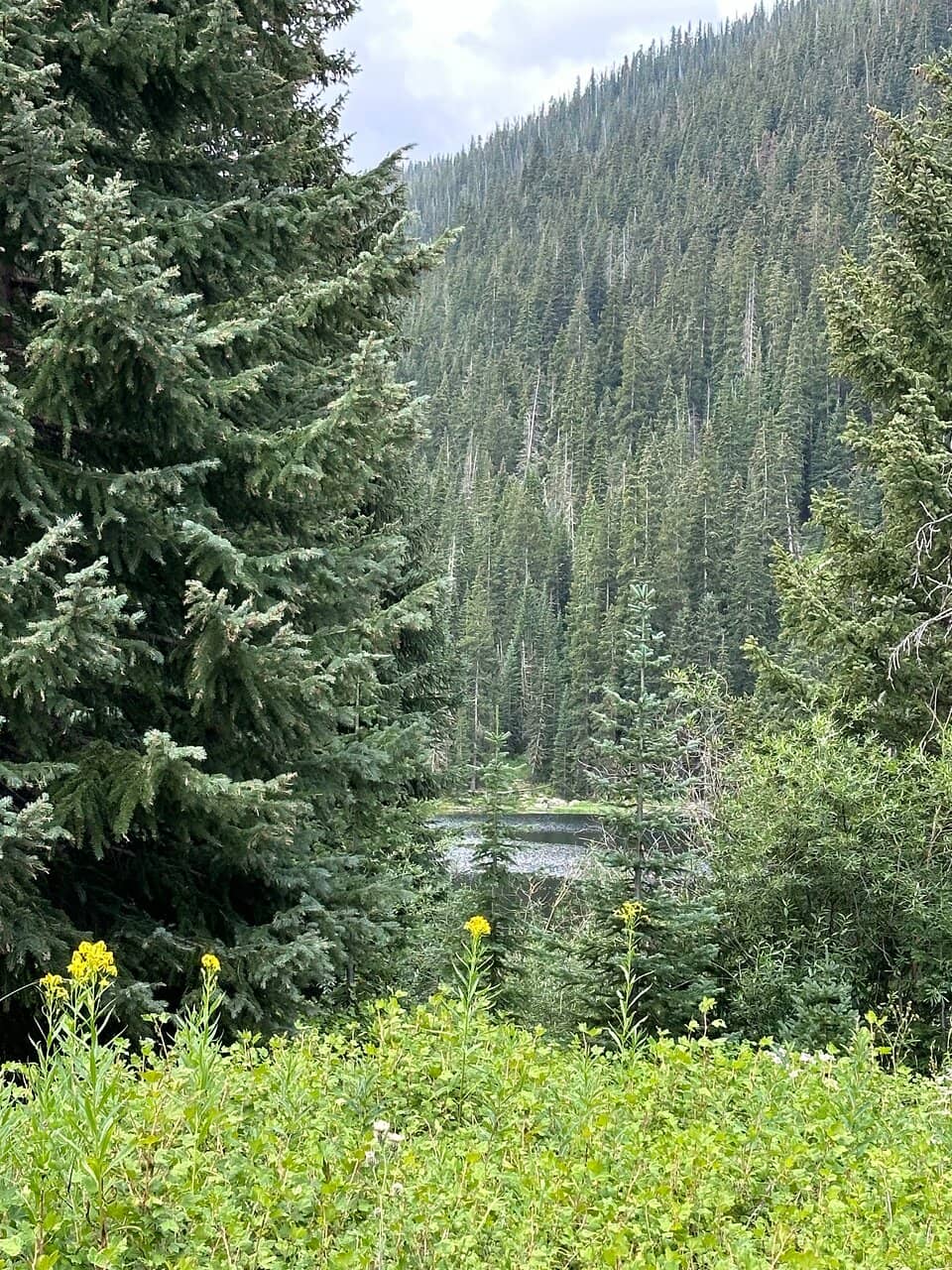Scenic Lake Views
