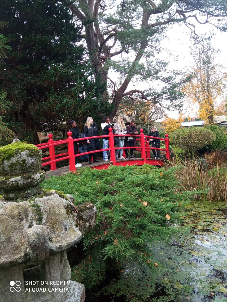 Tranquil Water Features