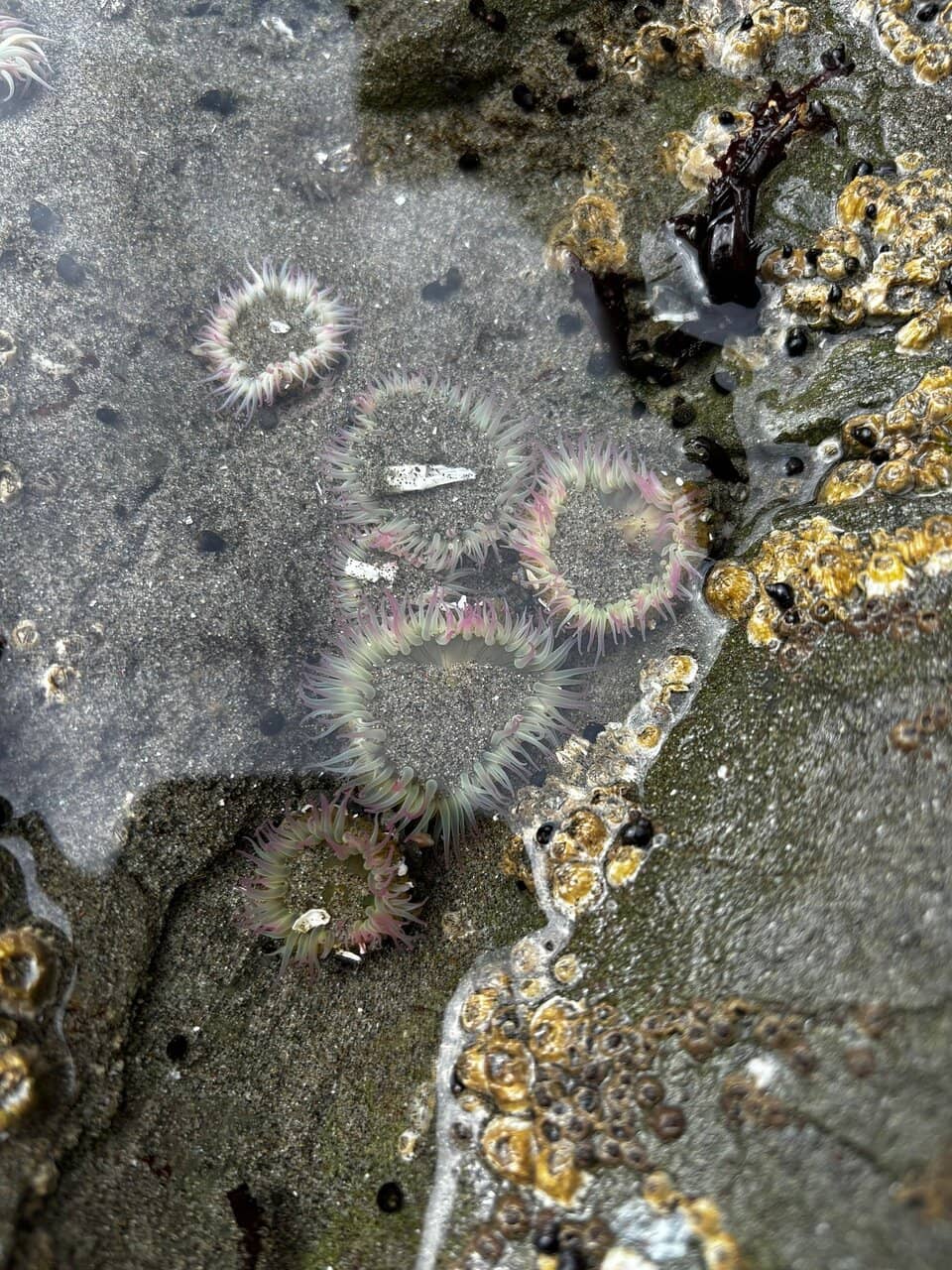 Fourth Beach (Quarta Praia)