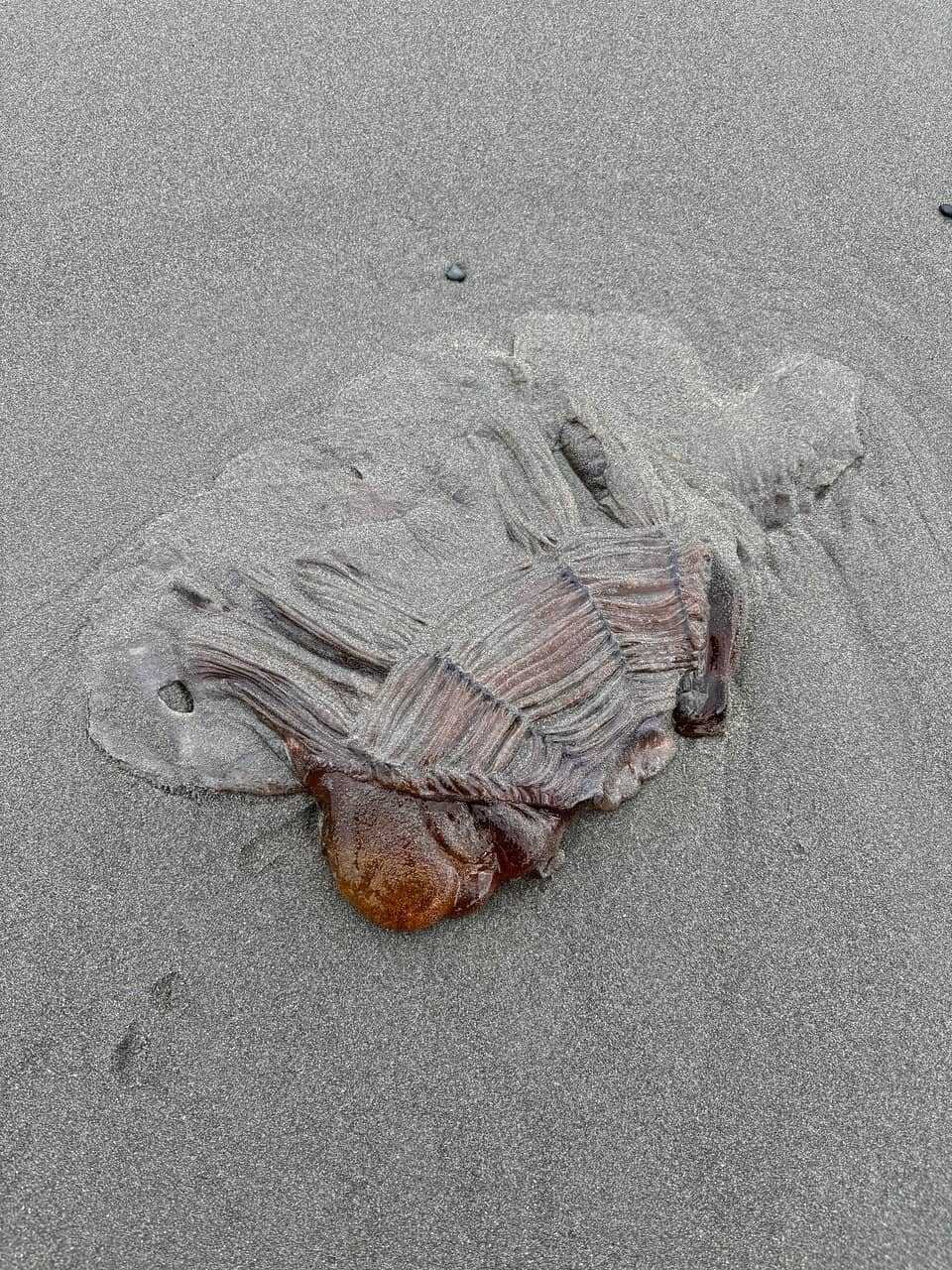Third Beach (Terceira Praia)