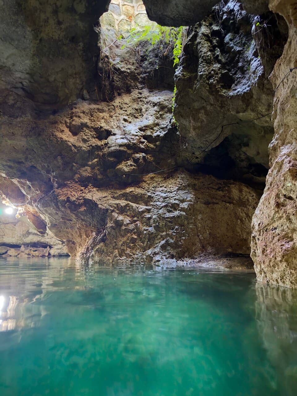 Tranquil Jungle Setting