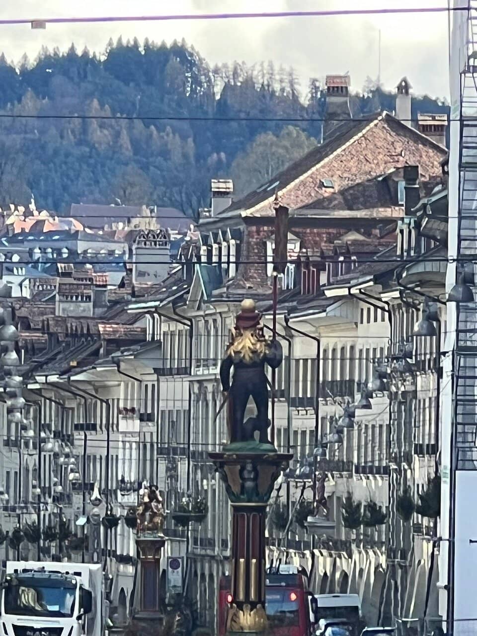 Zähringen Lion Shield & Flag
