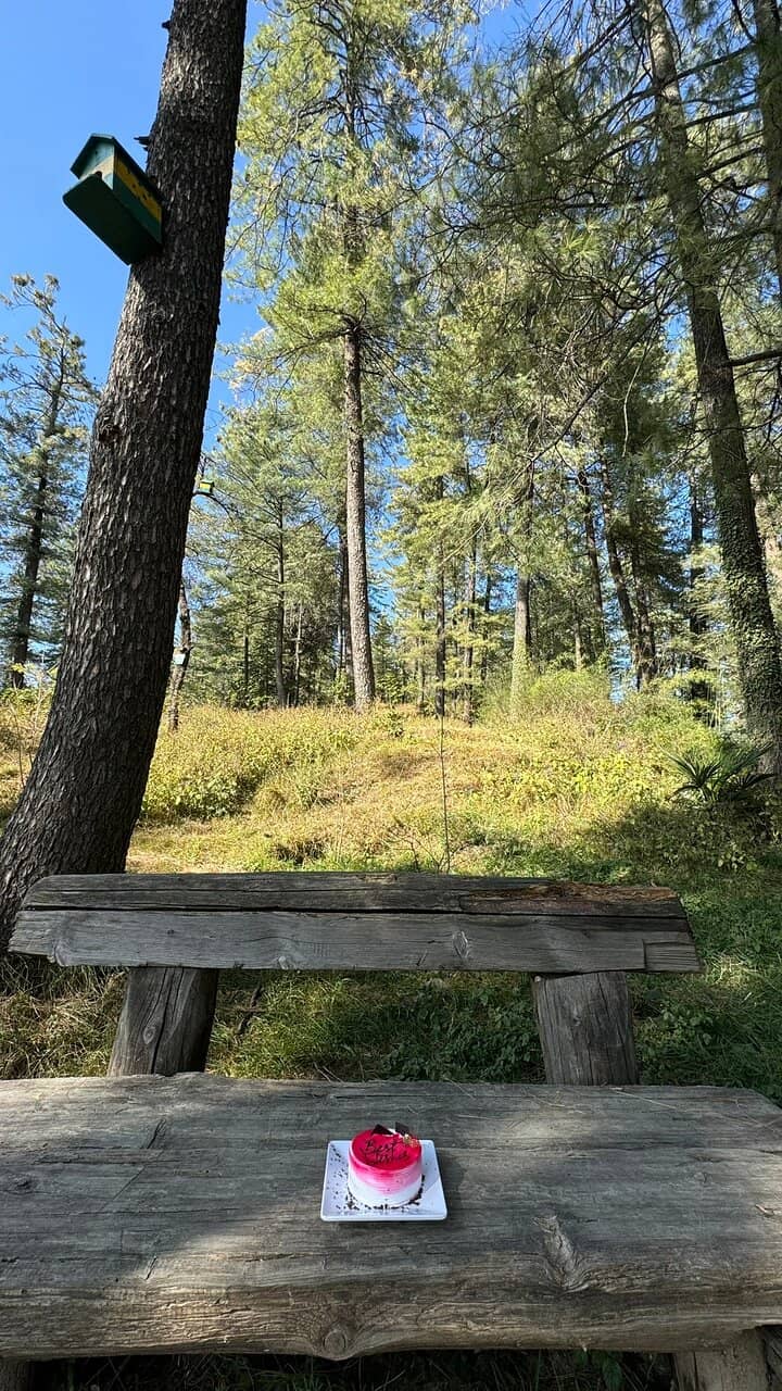 Kid-Friendly Play Area