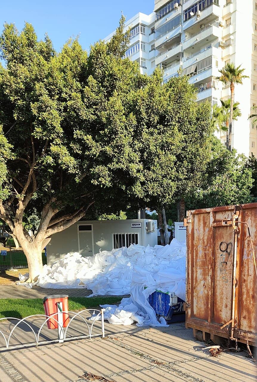 Green Oasis in the City