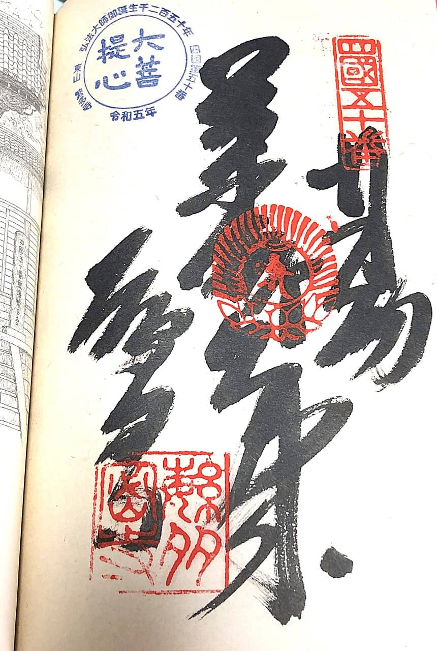 Cherry Blossom Views