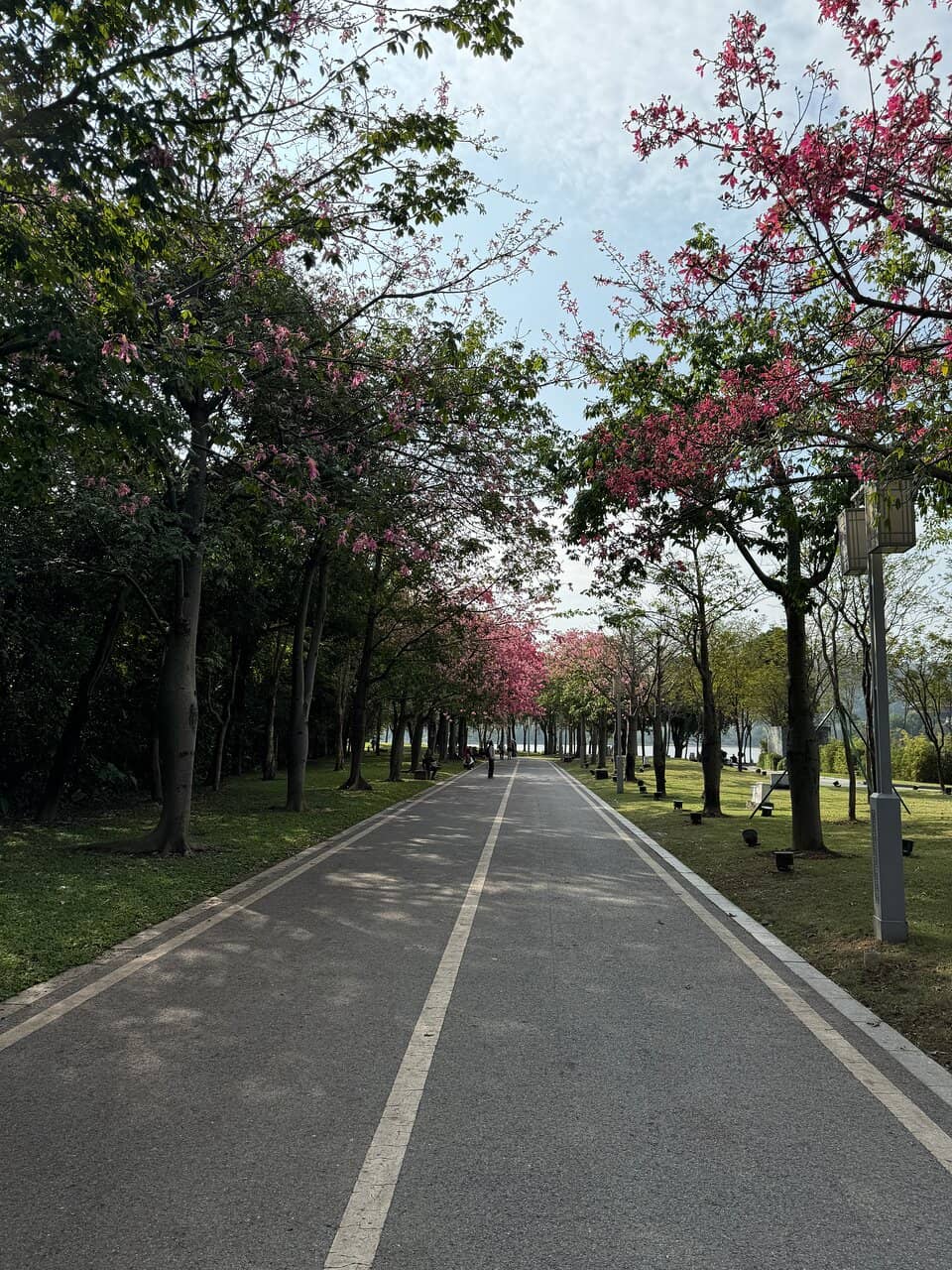22.7km Jogging Track